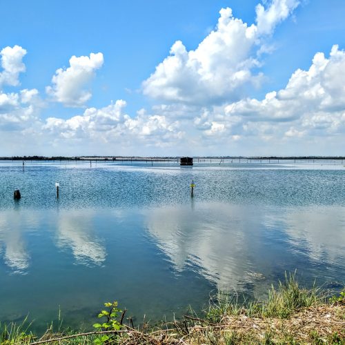 Albarella_Crinviaggio