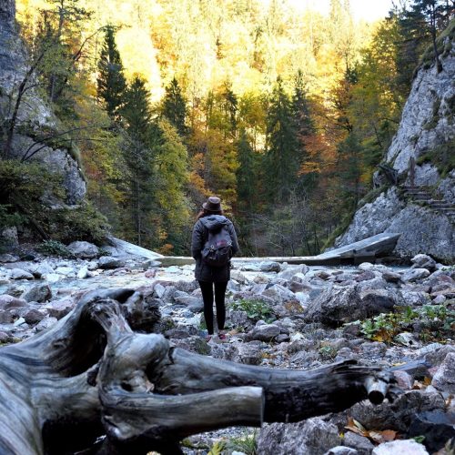 Carinzia_Crinviaggio