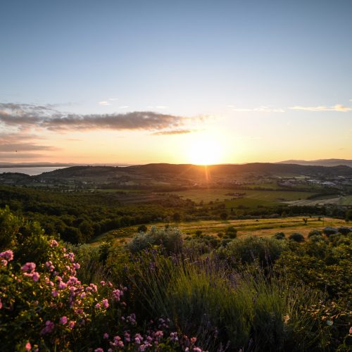 Trasimeno_Crinviaggio