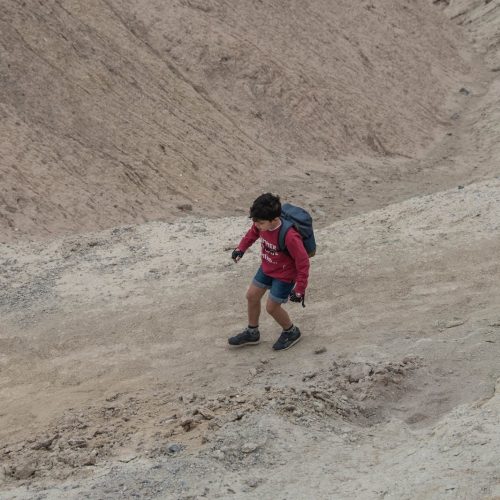 Viaggiatore_Crinviaggio