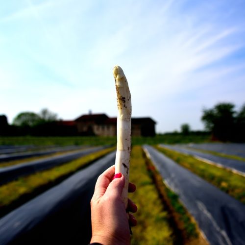 cimadolmo_crinviaggio