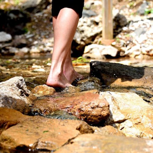 fassa_crinviaggiojpg