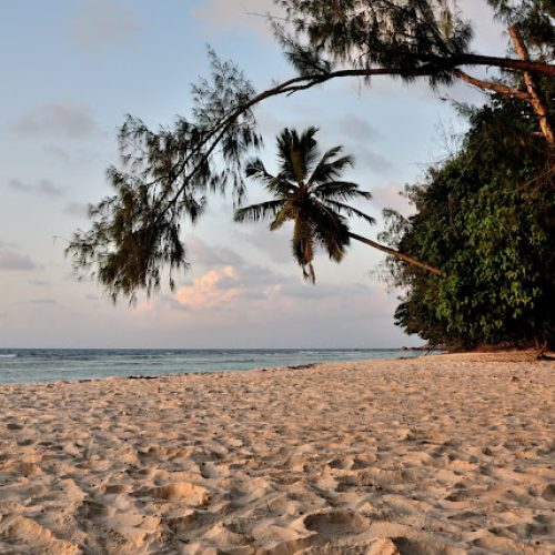 seychelles_crinviaggio,jpg